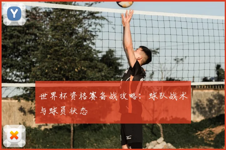 世界杯资格赛备战攻略:球队战术与球员状态