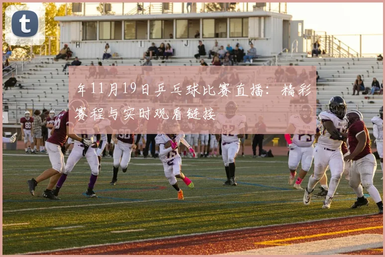 年11月19日乒乓球比赛直播：精彩赛程与实时观看链接